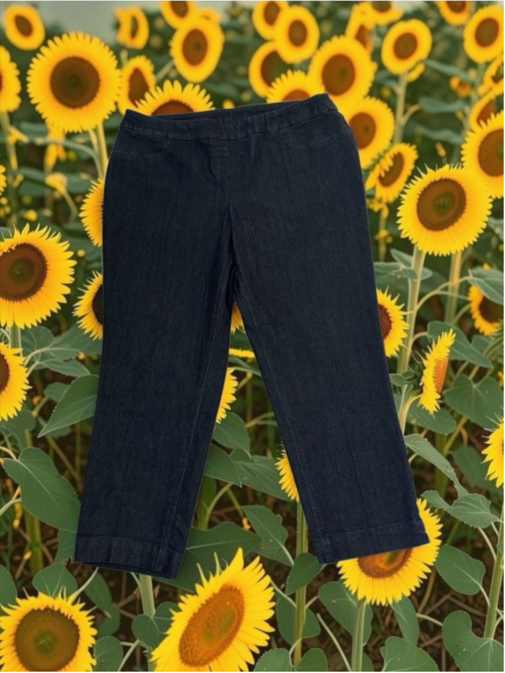 Slim Station Jeans Slimming Pull On Ankle Jeans Size 16P PETITE Elastic Waist
